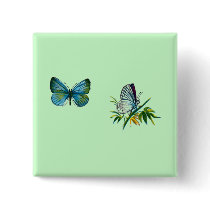Celastrina argiolus (male) buttons