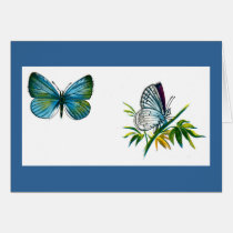 Celastrina argiolus (male) cards