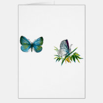 Celastrina argiolus (male) cards