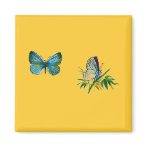 Celastrina argiolus (male) magnets