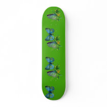 Celastrina argiolus (male) skate boards