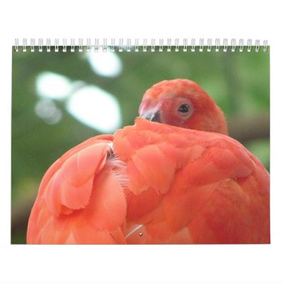 Celebración de la fauna calendario de pared Celebración de la fauna calendario de pared