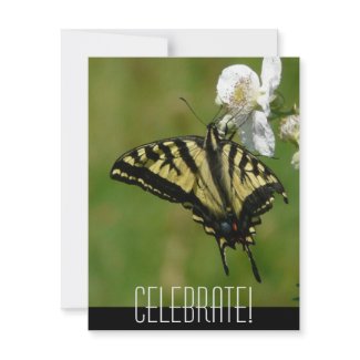 Celebrate! Any Occasion Butterfly Invitation invitation