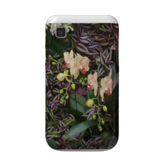 Celebrate Beauty Samsung Case casematecase