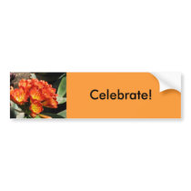 Celebrate bumper stickers by SeaAngel Celebrate bumper stickers