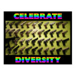 Celebrate Diversity posters