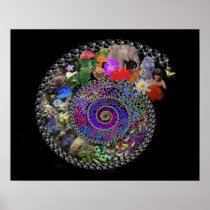 Celebrate Evolution posters