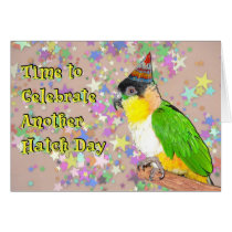 Celebrate In Song cards