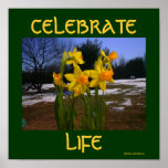 celebrate life/spring posters