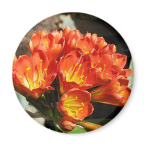Celebrate magnets by SeaAngel Celebrate magnets