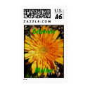 Celebrate Mother postage by Priscilla48 Celebrate Mother postage