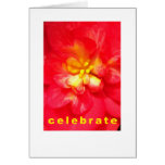 Celebrate Occasion Card
