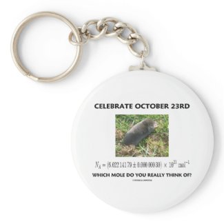 Celebrate October 23rd Which Mole Really Think Of? Keychains