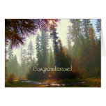 Celebrate - Photo Greeting Card