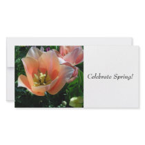 Celebrate Spring! Picture Card