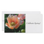 Celebrate Spring! Picture Card