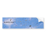 Celebrate Today Bumper Stickers