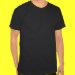 Basic American Apparel T-Shirt