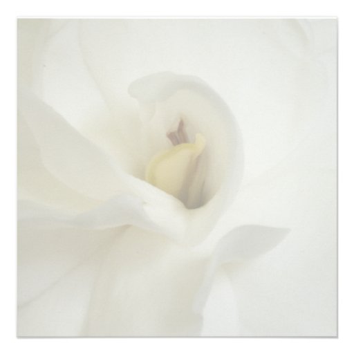 Celebration of Life Invitation