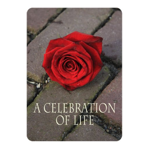 Celebration of Life Invitation Zazzle