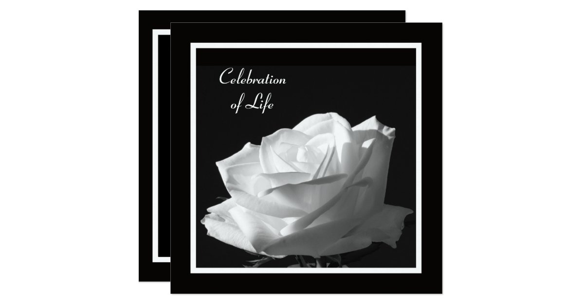 Celebration of Life Invitation Zazzle