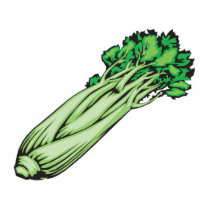 celery photo sculptures by doonidesigns celery photo sculptures