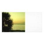 Celery silhouette photo cards
