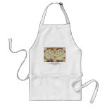 Celestial Map Dutch Cartographer Frederik de Wit Apron