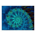 Celestial Shell posters by jolupot2000 Celestial Shell posters