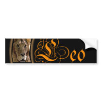 Celestrial Moon Leo bumper stickers