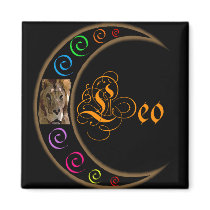 Celestrial Zodiacs - Leo magnets