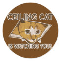 Celing cat is watching you! stickers