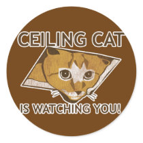 Celing cat is watching you! stickers by jamierushad Celing cat is watching you! stickers