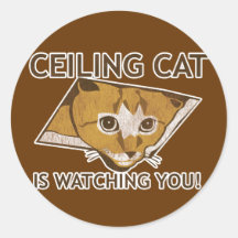 Celing cat is watching you! sticker