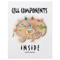 Cell Components Inside Custom Flyer