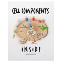 Cell Components Inside Custom Letterhead