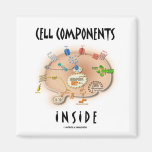 Cell Components Inside Magnet