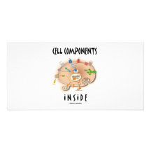 Cell Components Inside Picture Card