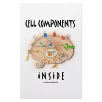 Cell Components Inside stationery