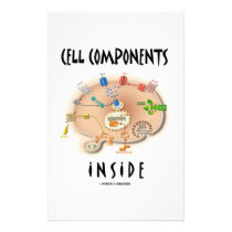 Cell Components Inside stationery