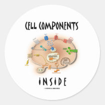 Cell Components Inside Stickers