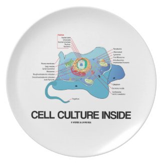 Cell Culture Inside (Eukaryotic Cell) Plate