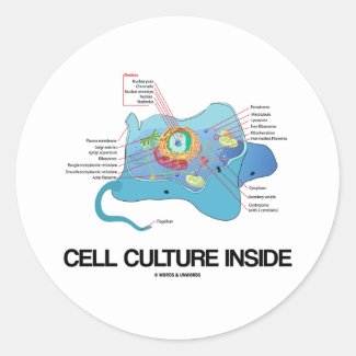 Cell Culture Inside (Eukaryotic Cell) Round Stickers