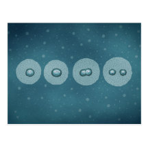 Cell Division Post Cards