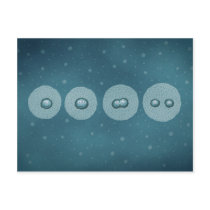Cell Division postcards