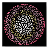 Cell Division Print posters