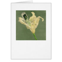 Cellflower cards by briancody Cellflower cards