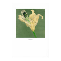 Cellflower posters