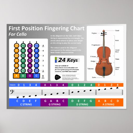Cello Fingering Chart Poster Zazzle