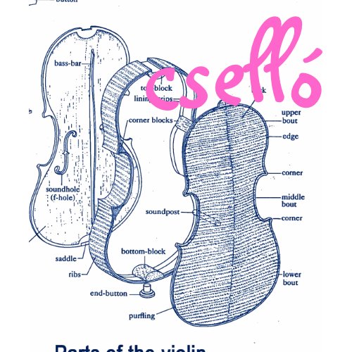 Cello Violin tShirt tee shirt